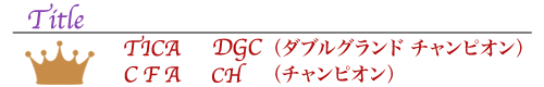 Title CFA CH(チャンピオン)