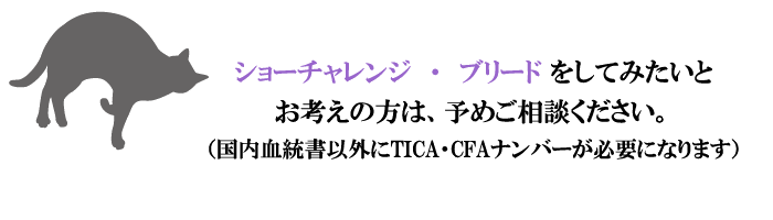 ショーチャレンジ・ブリードをしてみたい方はご相談ください